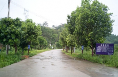 收割机会弄脏马路不能进村？梅江区大密村委：系谣传