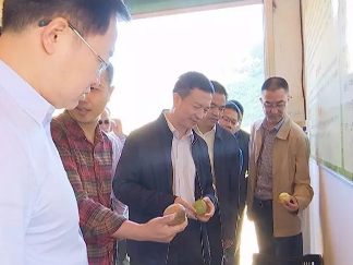 广州南沙区区长曾进泽到蕉岭调研对口帮扶、精准扶贫工作