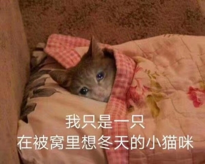 冻哭预警！快把秋裤穿起来！梅州启动寒冷Ⅲ级应急响应