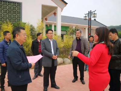 揭阳市政府考察组一行到大埔县参观考察中小河流治理情况