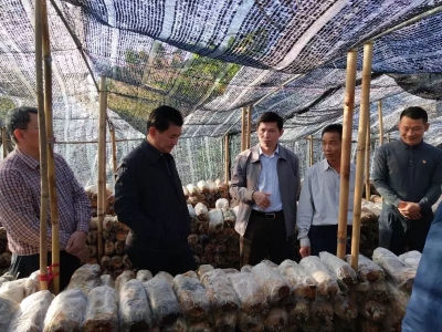 花“小钱”办“大事”！建设宜居美丽乡村，梅县区要这样干...