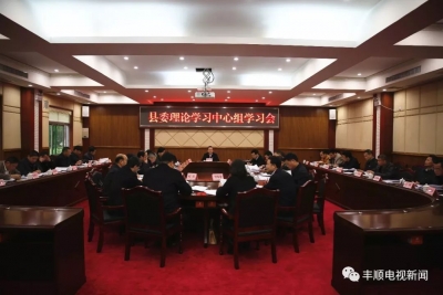 丰顺举行专题学习会学习贯彻习近平总书记视察广东重要讲话精神