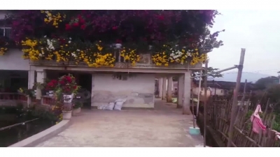 V视频丨冬天竟能百花齐放！梅县这间“花房”美煞游人