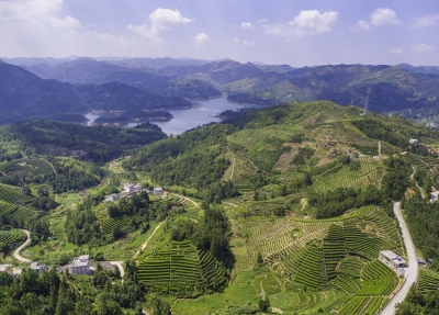 理论丨调配生态“四色” 描绘美丽梅州