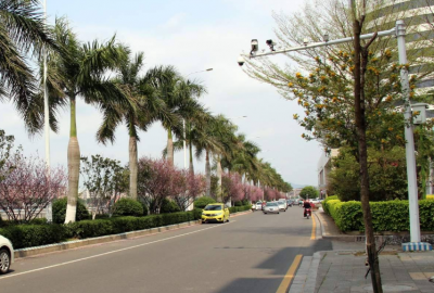 扩散周知！本月18日起，梅城的这些路段将要限行