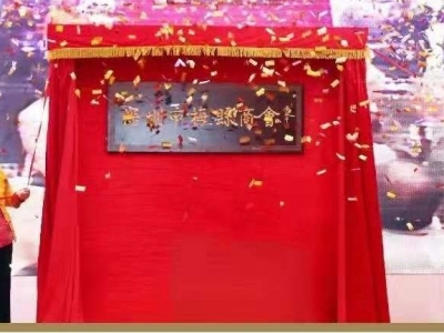 五年共捐9764万元！深圳梅县商会搭桥建梁为家乡