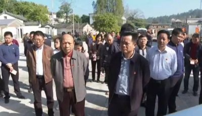 朱汉东带队到大埔东片、北片乡村调研，现场办公解决发现问题