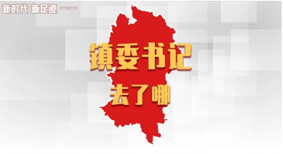 新时代新足迹——镇委书记去了哪 | 平远各镇党委书记，上周在忙什么？