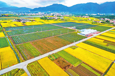 【改革开放40年】2014年地质部门首次发现我市大面积富硒土壤区