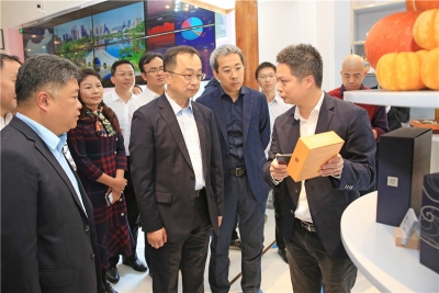 陈敏到东莞深圳珠海等地考察项目，来看都去了哪些企业