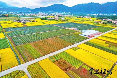 学习贯彻市委全会精神丨市供销社：突出为农服务助力乡村振兴