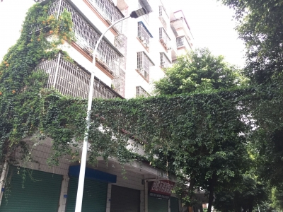 被缠上了！梅城这个小区的它们正上演“危险接触”