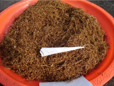 逾10吨！他铤而走险帮人运这个东西，结果在蕉岭栽了…