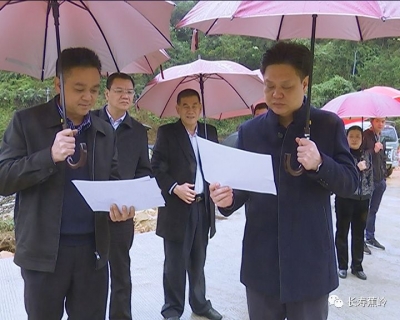 陈伟明调研新农村建设工作：立足乡村特色 树立精品意识