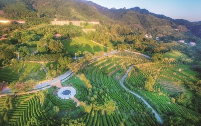 省第二批拆旧复垦指标成交，梅州获4.22亿乡村振兴资金