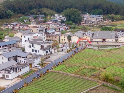 回到梅州蕉岭，丘成桐院士即兴赋诗二首抒家国情！来看数学家的诗