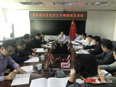 廖茂忠参加丰顺县政府办公室党总支专题组织生活会