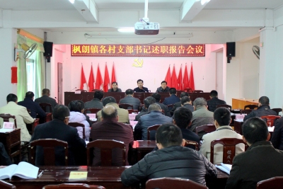 大埔枫朗镇召开各村党支部书记述职评议会