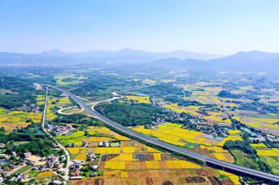 省政协调研组到梅县区开展专题调研：优化高速公路出口 解决交通运输发展不平衡问题 