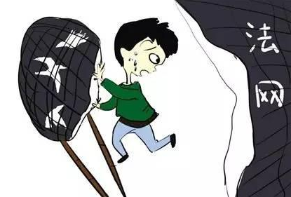 时评丨给野生动物戴上法治的“护身符”