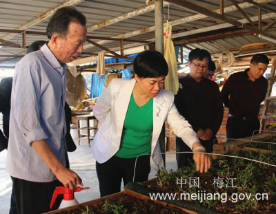 钟秀堂到城北镇调研：发挥优势整合资源共建美丽家园