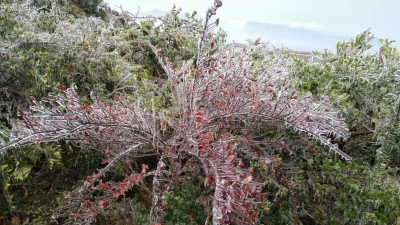 @梅州人，“超凶”寒潮来袭，梅州可能要下雪，你准备好了吗？