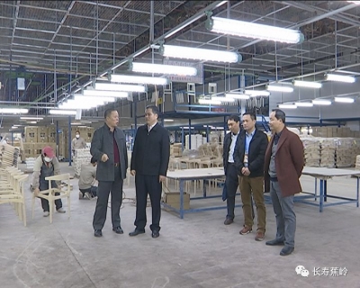 刘彩波检查企业环保工作：以环保督察问题整改为契机 打好污染防治攻坚战