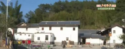 大埔丰溪林场：多措并举扮靓省级自然保护区