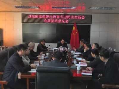 廖茂忠主持召开县政府党组警示教育专题民主生活会会前征求意见会