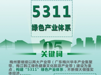 聚焦全会丨构建“5311”绿色产业体系，不断做大做强实体经济