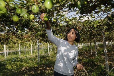 加速转化！让“绿水青山”变“金山银山”， 大埔这么做