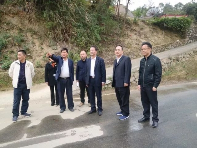 陈建青到大埔调研：坚决打好精准脱贫攻坚战 全力建设美丽乡村