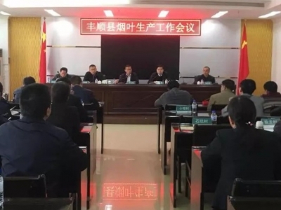 丰顺去年收购烟叶近5000担，收购金额累计近700万元