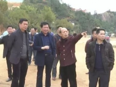 大埔县人大专项督查组到县重点项目建设现场督导