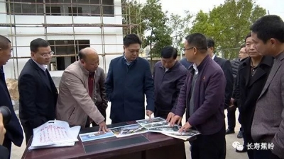 陈伟明率队到广福镇洪才村广育村调研社会主义新农村建设工作