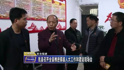 总结经验，示范带动！大埔召开推进镇级人大工作和建设现场会