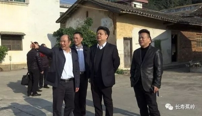 陈伟明到蕉华管理区洋蛟湖片调研新农村建设