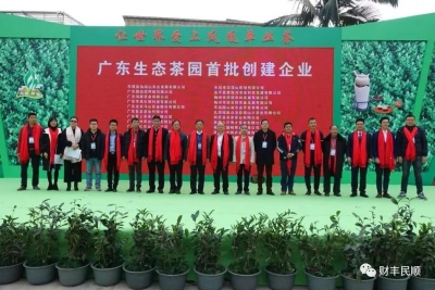厉害了！丰顺这三家企业入选广东生态茶园首批创建企业