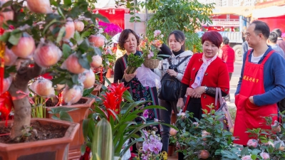 @街坊们 迎春花市今天开幕！我们一起行花街呀~ 