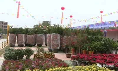 五华县2019迎春花市、首届粤港澳年货节开幕啦！