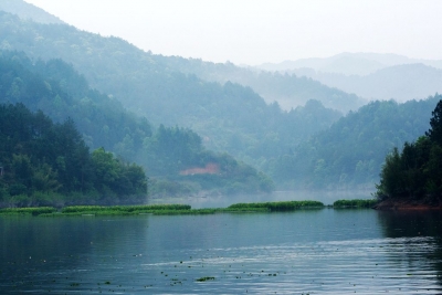 吴清平院士率队到蕉岭考察调研：让长寿秘诀与全国人民共享