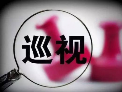 聚焦脱贫攻坚，中央巡视组发现了哪些问题？
