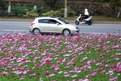 “见缝插花”扮靓城乡！梅江区实施“两美”行动有新举