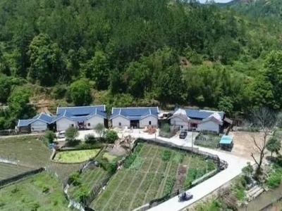 平远：发挥林业优势，推动绿色发展