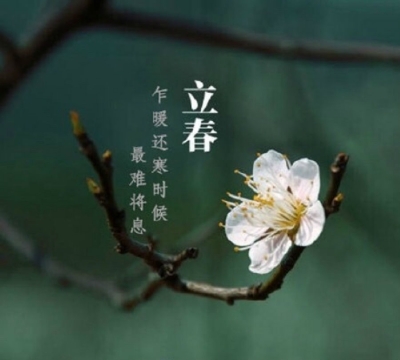 即将到来的农历猪年为“无春”年 全年没有“立春日”