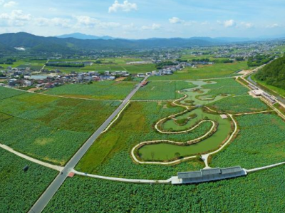 牵住蕉岭农产“牛鼻子”，绿色产业撑出“世界长寿乡”富美新天地