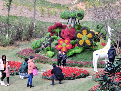 元旦假期标配：泡温泉、品美食！你是如何过的呢？