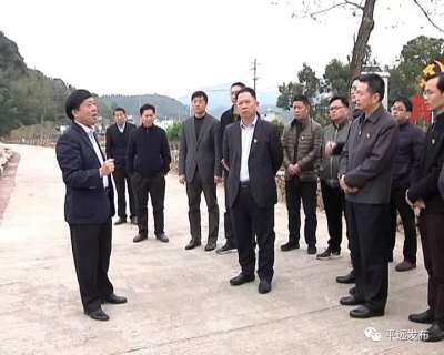 朱国城率梅江区考察团到平远考察生态宜居美丽乡村建设