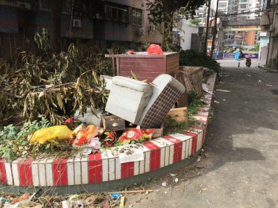 脏、乱、臭！绿化花带沦为垃圾场，地点：梅江区华梅三巷