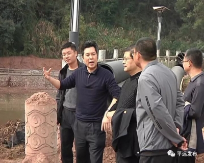 让平远美起来、靓起来！杨栋到县城督导“两美”工作